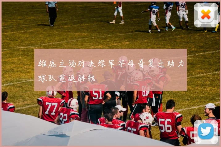 雄鹿主场对决绿军字母哥复出助力球队重返胜轨