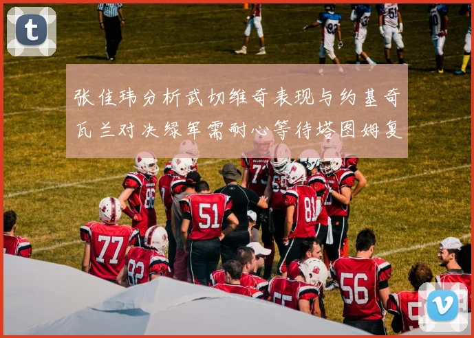 张佳玮分析武切维奇表现与约基奇瓦兰对决绿军需耐心等待塔图姆复出